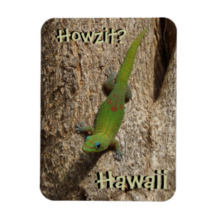 Howzit Hawaii Gecko-tropischer Rechteckmagnet Magnet