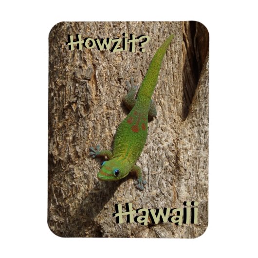 Howzit Hawaii Gecko-tropischer Rechteckmagnet Magnet (Vertikal)
