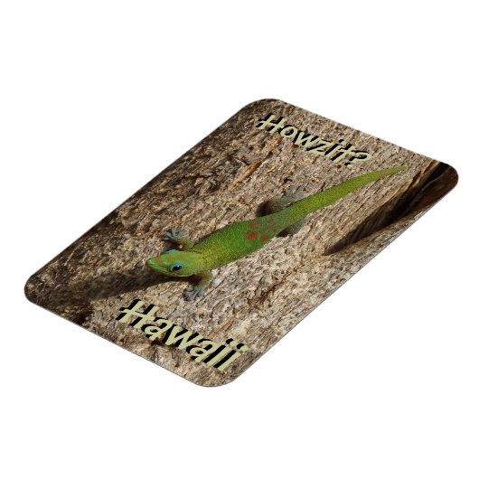 Howzit Hawaii Gecko-tropischer Rechteckmagnet Magnet (Linke Seite)