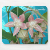 Hoya aff. imperialis MousePad (Vorne)