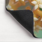 Hoya aff vitellina Mousepad (Ecke)