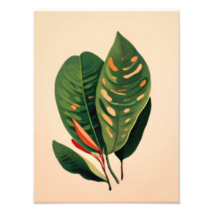 Hoya Art: Tropisches Leaf Paradies Fotodruck