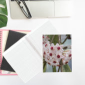 Hoya Pflanze Blume BlumenNotebook Notizblock