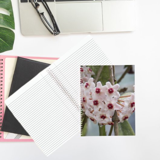 Hoya Pflanze Blume BlumenNotebook Notizblock