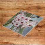 Hoya Pflanze Blume Floral Fliese<br><div class="desc">Keramik Kachel,  die das Foto-Bild der hübschen,  kleinen Blume der Hoya-Pflanze,  gemeinhin als Wax-Pflanze. Ein schönes,  blumengeschmücktes Design! Wählen Sie Ihre Kachelgröße aus. Eine tolle Küche trivet!</div>