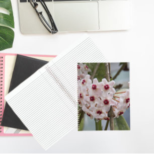 Hoya Pflanzenblüten Florales Notizbuch