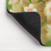 Hoya samoensis Mousepad (Ecke)