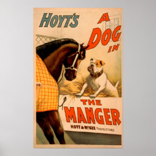 Hoyt ist ein Hund im Magiertheater-Poster Poster