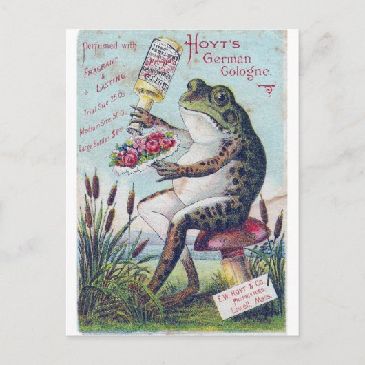 Hoyts deutscher Kölner Frosch Postkarte (Vorderseite)