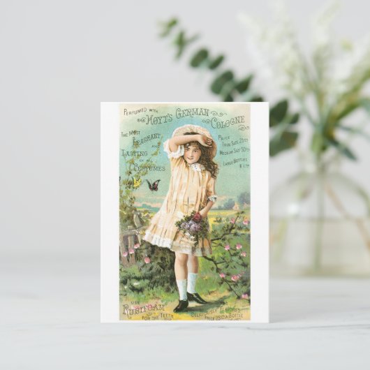 Hoyts German Köln Postkarte (Stehend Vorderseite)