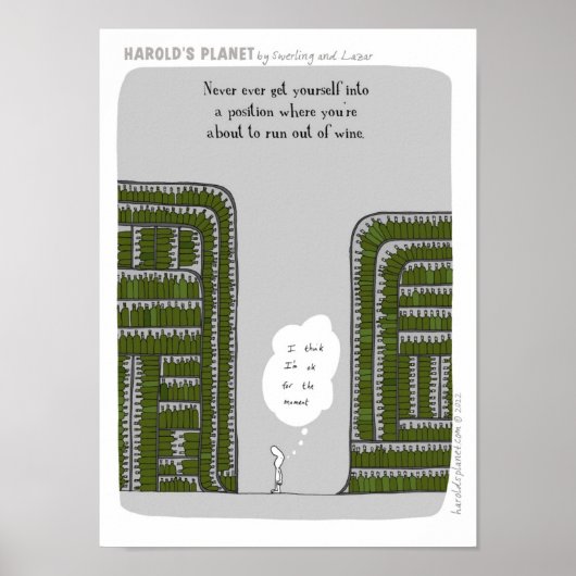 HP2244 POSTER (Vorne)