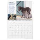 HPF-Kalender 2022 - 8,5 x 11 Zoll Kalender (Mär 2026)