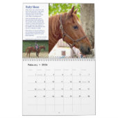 HPF-Kalender 2022 - 8,5 x 11 Zoll Kalender (Feb 2026)