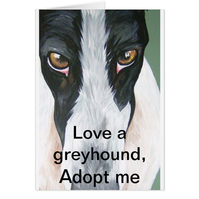 HPIM0059, Liebe ein Windhund, adoptieren mich (Vorne)