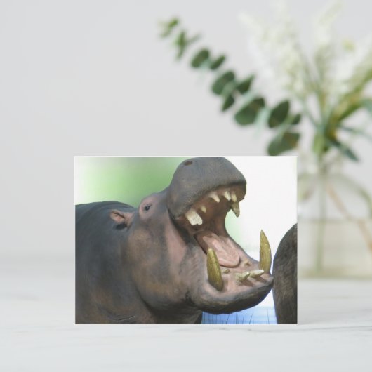 Hppo Postkarte (Stehend Vorderseite)