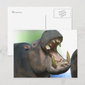 Hppo Postkarte (Vorne/Hinten)