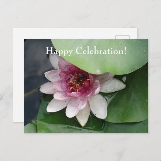 Hppy Celebration Custom Occasions Floral Postcard Postkarte (Vorne/Hinten)