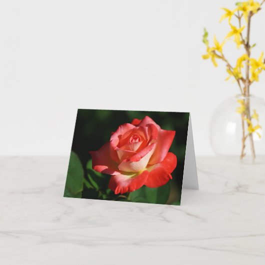 HRG Brigadoon Rose 2014 130 Karte (Gelbe Blume)