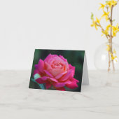 HRG Chicago FriedensRose 2014 120 Karte (Gelbe Blume)