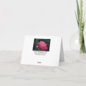 HRG Chicago FriedensRose 2014 120 Karte (Rückseite)