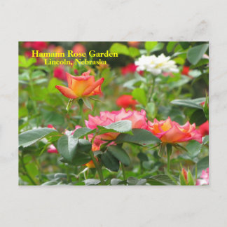 HRG Postkarte Nr. 300n 0300