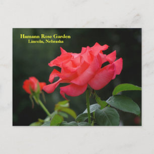 HRG Postkarte Nr. 335N 0335