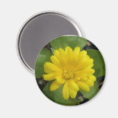 Hright Yellow Marigold Magnet (Vorderseite/Rückseite)