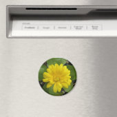 Hright Yellow Marigold Magnet (In Situ (Geschirrspüler))