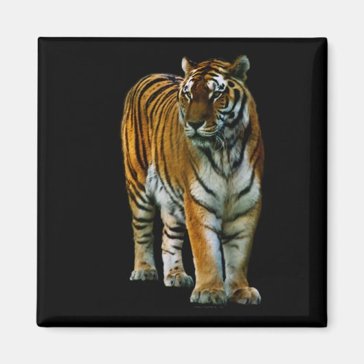 Hu Lin Magnet (Vorne)