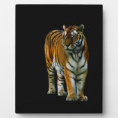 Hu Lin Plaque Fotoplatte (Vorderseite)