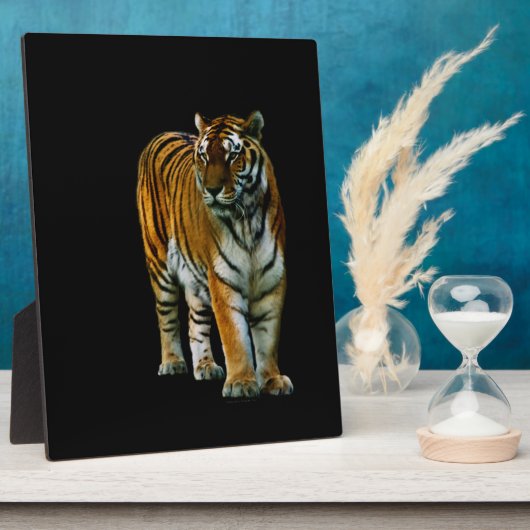 Hu Lin Plaque Fotoplatte (Seite)