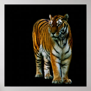 Hu Lin Print Poster