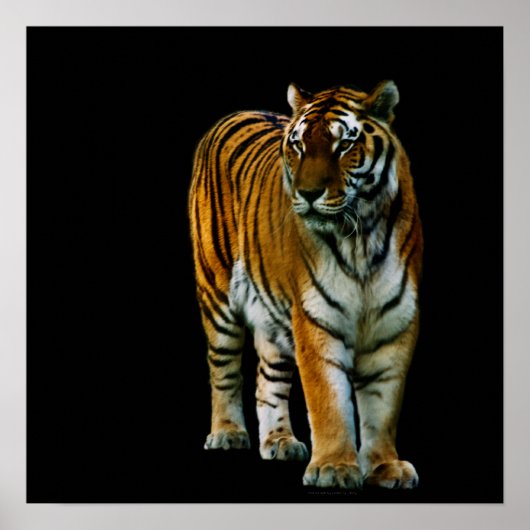 Hu Lin Print Poster (Vorne)