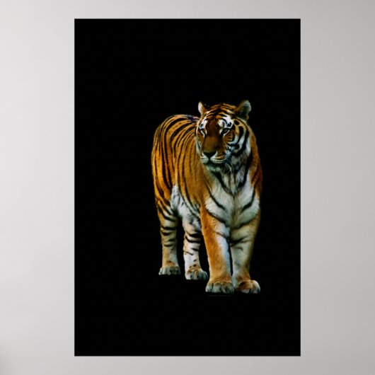 Hu Lin Print Poster (Vorne)