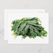 Huacatay Postkarte (Vorne/Hinten)