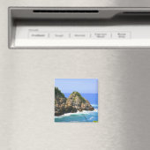Huatulco Coastline Magnet (In Situ (Geschirrspüler))