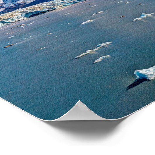 Hubbard Glacier, Alaska Poster (Ecke)