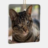 Hubble die blinde Katzenfigur Keramikornament (Rechts)