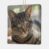 Hubble die blinde Katzenfigur Keramikornament (Links)
