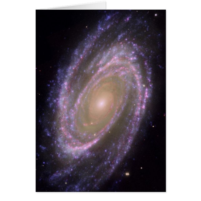 Hubble - Galex - Spitzer Composite Image of M81 (Vorne)