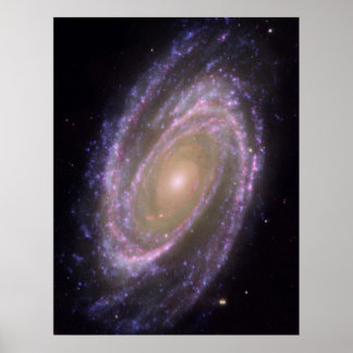 Hubble - Galex - Spitzer Composite Image of M81 Poster
