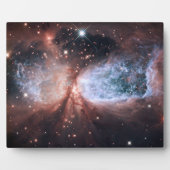 Hubble-Schneengel 10x8 Fotoplatte (Vorderseite)