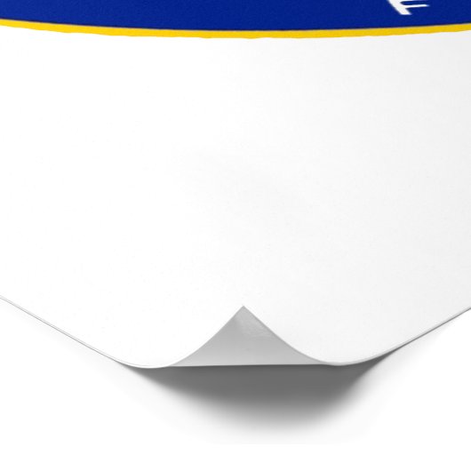 Hubroller Rink Chicago / Norridge Illinois Poster (Ecke)