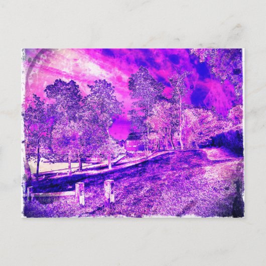 Hübsch als Lila Bild. Postkarte (Vorderseite)