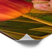 Hübsch als Pfau Poster (Ecke)