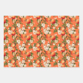 Hübsch als Pfirsich, Pfirsich Fuzz Themed Gift Geschenkpapier Set (Vorderseite)