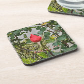 Hübsch als Rose Untersetzer Set (Linke Seite)