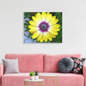 Hübsch als Sonnenschein Leinwanddruck (Insitu (Wohnzimmer))