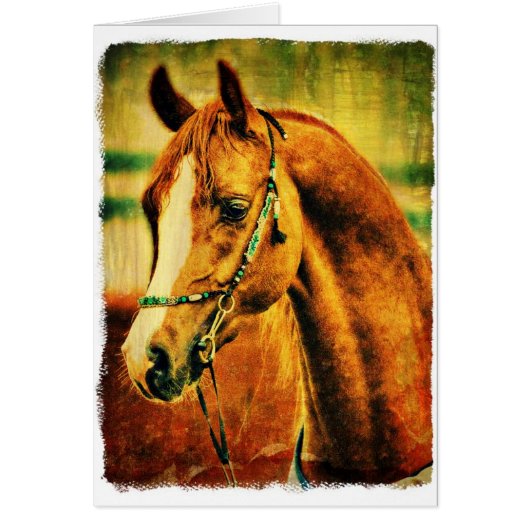 Hübsch-arabisch (Vorne)