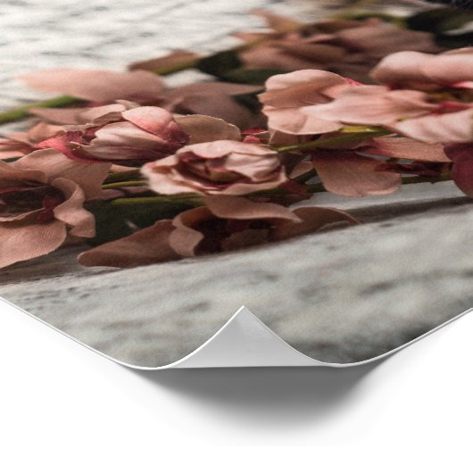 Hübsch-Bella-Rose Poster (Ecke)